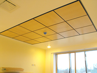 Suspended Ceilings 